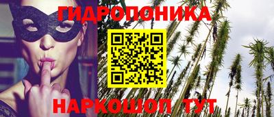 шишки Мариинск